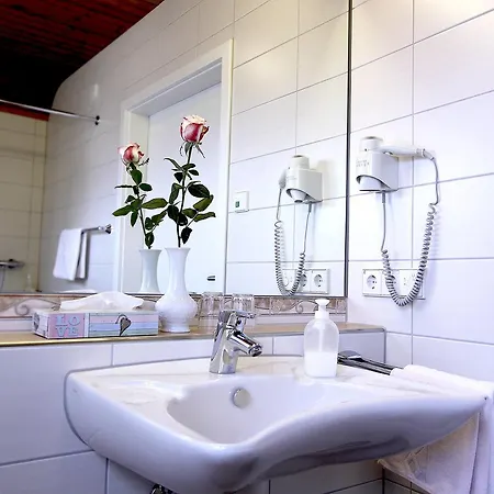 Seehof 3* Iznang